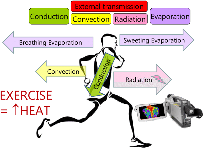 Human Body Mechanisms For Heat Exchange Interaction - Clinic Logo Of Physiotgerapy (850x601), Png Download