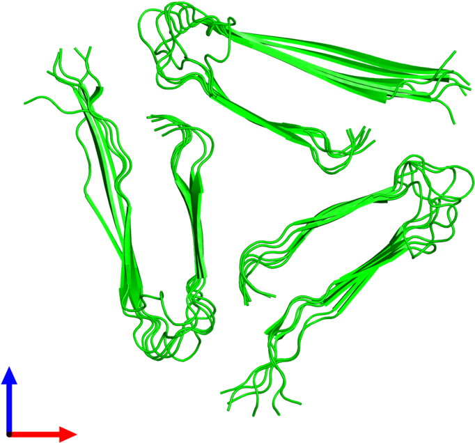 18-meric Assembly 1 Of Pdb Entry 2lmq Coloured By Chemically - Illustration (800x800), Png Download