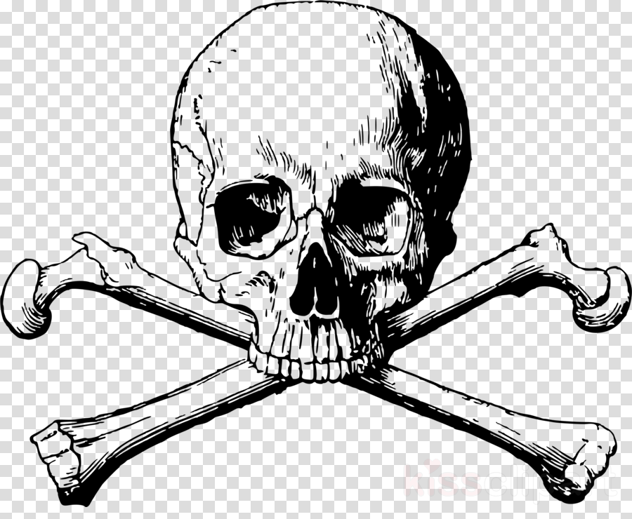 Download Skull And Crossbones Transparent Background - Skull Crossbones Png (900x740), Png Download