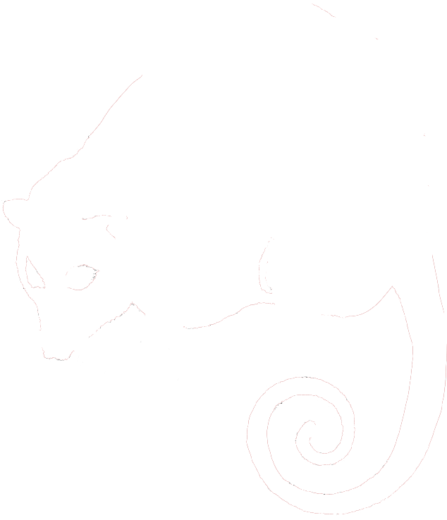 Surveyopossum - Uvex (791x851), Png Download