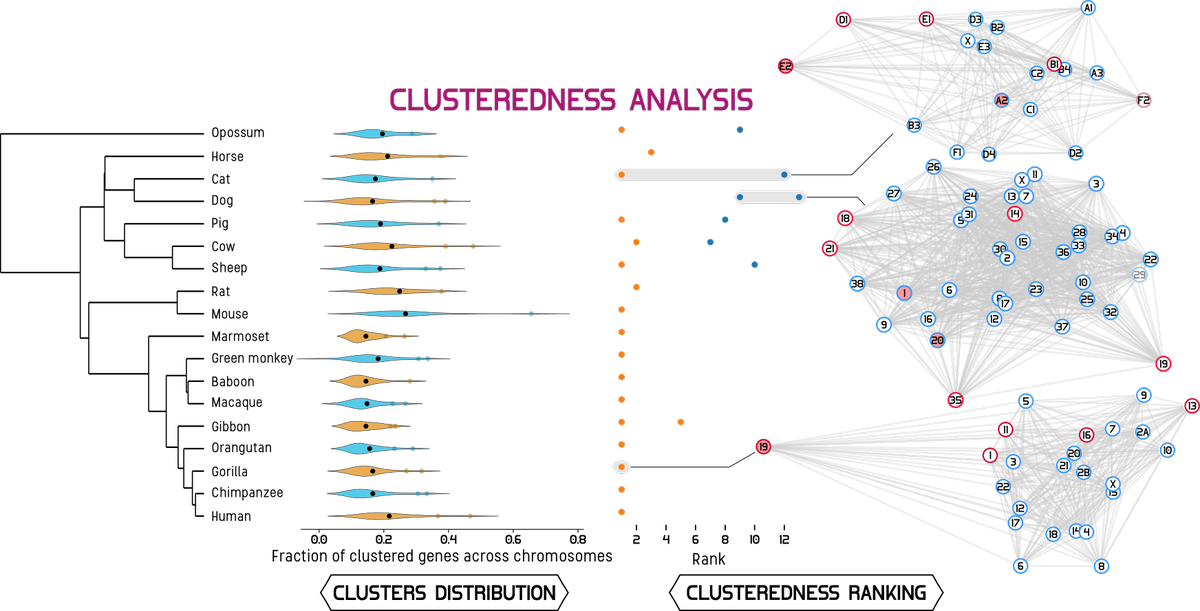 0 Replies 0 Retweets 1 Like - Diagram (1200x611), Png Download