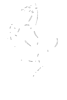 Our Fleet Of Vehicles Sorted By Car Make - Sketch (750x750), Png Download