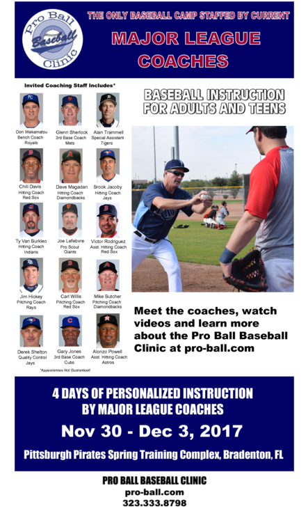 Pro Ball Clinic - Pro Ball Baseball Clinic (650x841), Png Download