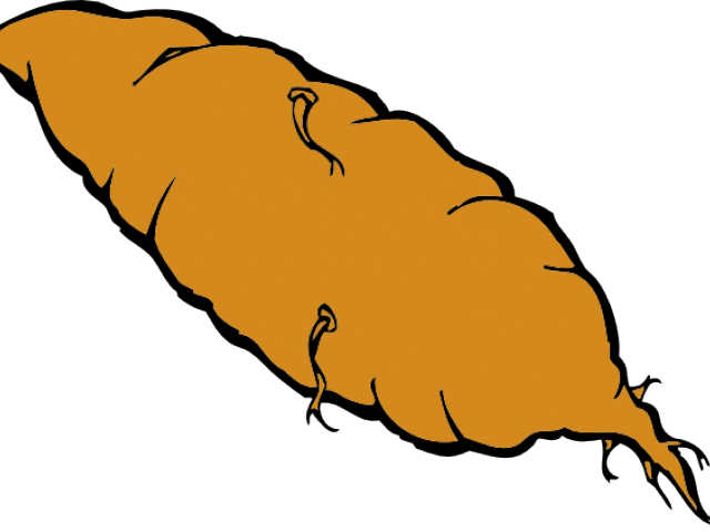 Yam Cliparts - Sweet Potato Clipart (640x480), Png Download