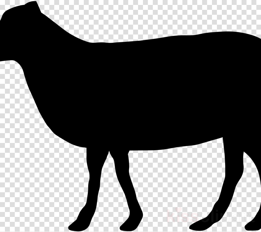 Download Sheep Outline Png Clipart Sheep Clip Art Sheep - Clip Art (900x800), Png Download