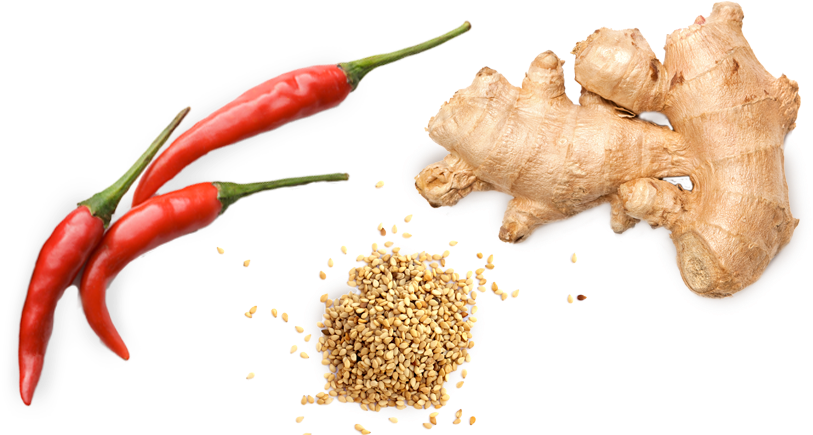 Buy Nowlearn More Savory Wild - Ginger Isolated (900x447), Png Download