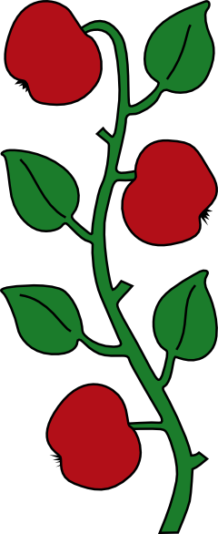 Apple Tree Branch Clipart (240x586), Png Download