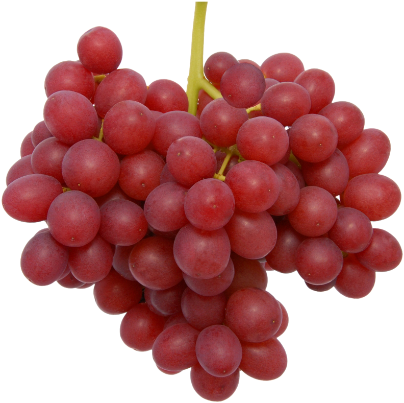 Red Globe - Scarlet Royal Seedless Grape (1355x907), Png Download
