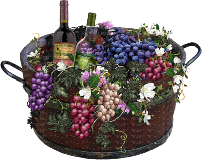 Vinos Y Uvas - Grapes (400x316), Png Download