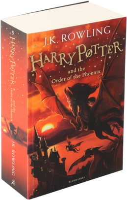 Harry Potter And The Order Of The Phoenix (422x480), Png Download