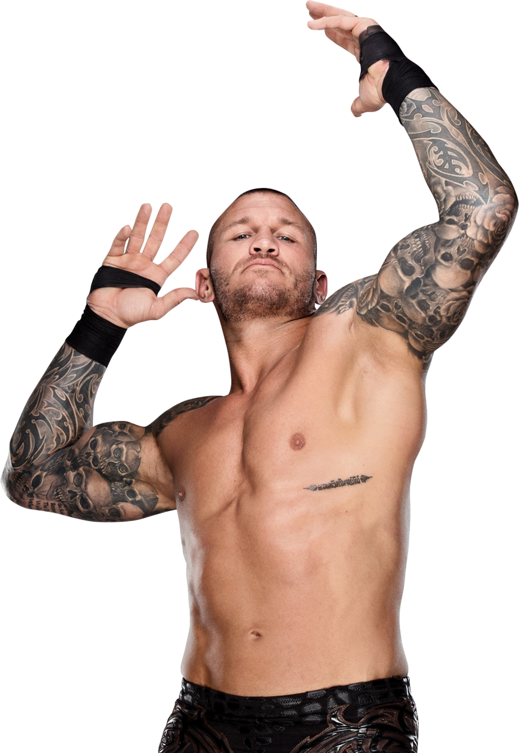 Randy Orton Png Image With Transparent Background - Randy Orton Png Hd (1024x1484), Png Download
