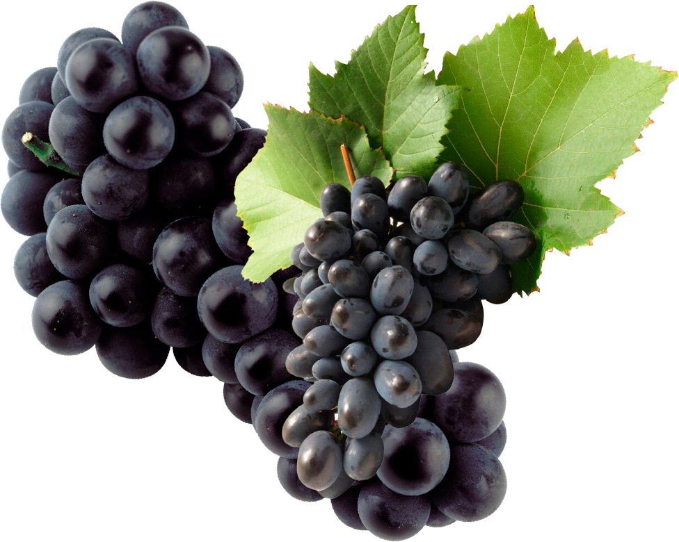 A Cold Breeze From The Pacific Ocean Causes This Phenomenon - Purgenics Resveratrol - 1200mg Maximum Strength - Antioxidant (976x780), Png Download