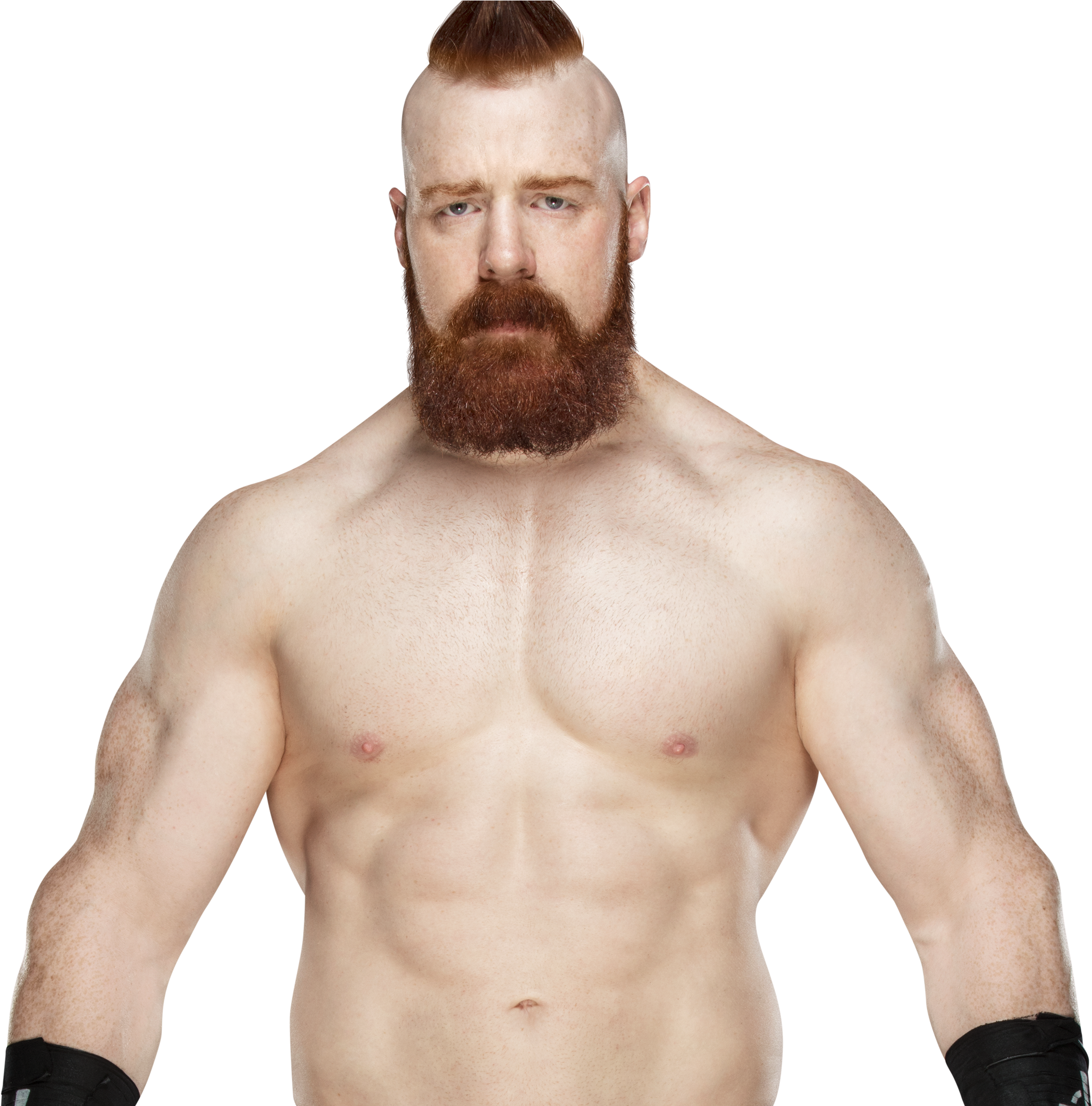 Sheamus - Sheamus Png (2940x2080), Png Download