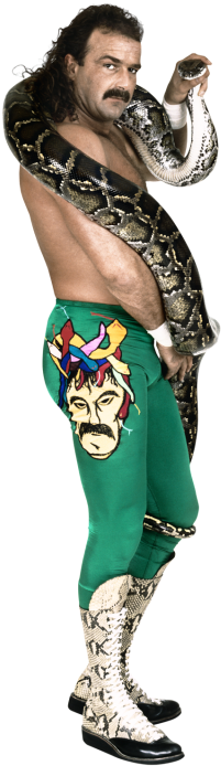 Career Highlights - Wwe Jake The Snake Roberts (320x728), Png Download