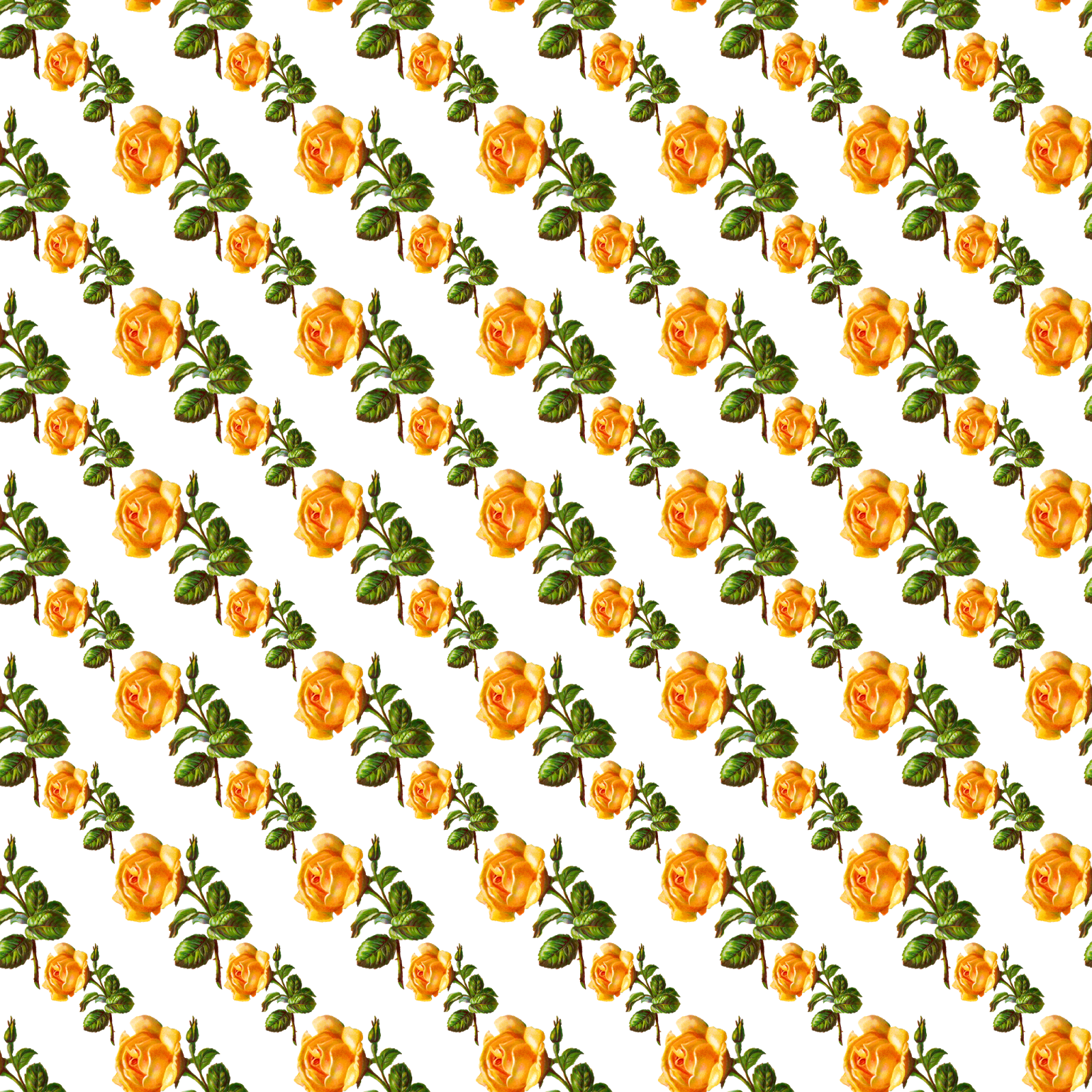 Digital Rose Overlay Design Image - Paper (1600x1600), Png Download