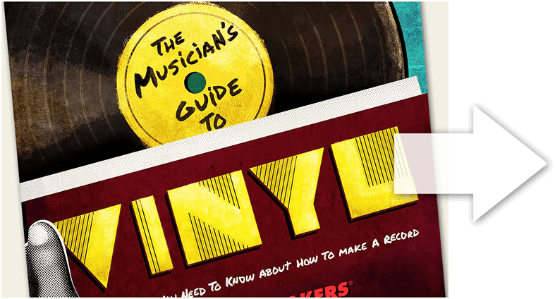 Musician's Guide To Vinyl - Musician (787x424), Png Download