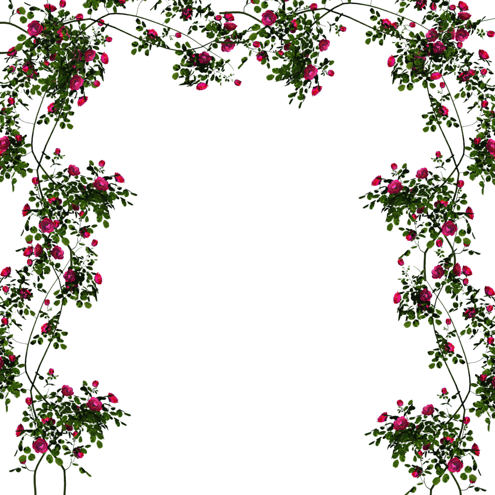 Photo 1aroseoverlay Png Flower Arch Full Size Png Download Seekpng