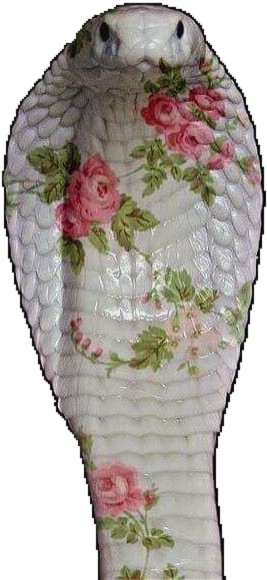 Transparent Not Image Just Edit Png Overlay Flowers - Vase (500x637), Png Download