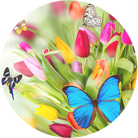 Ivy Lane Florist New Plymouth - Wonder Woman Linda Carter Image Poster Gloss Print (450x450), Png Download