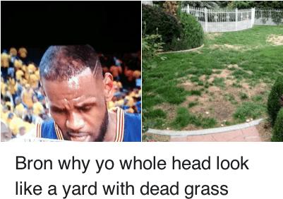 Haircut - Lebron James Grass Meme (400x300), Png Download