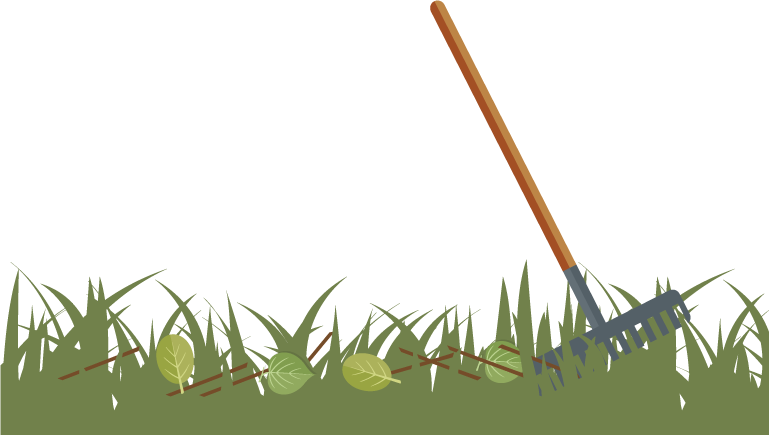 Remove Any Twigs And Leaves That Have Accumulated Over - Aloe (769x435), Png Download