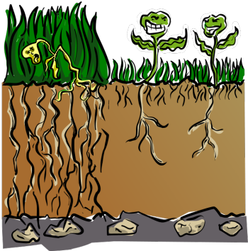 Dry Grass Clipart Dead Grass - Weeds Choking Out Plants (350x355), Png Download