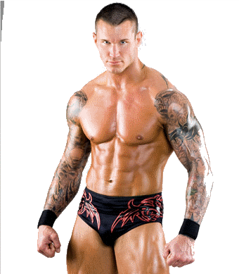 Randy Orton 2014 Png Randy Orton Photo - Randy Orton Photo Print (340x389), Png Download