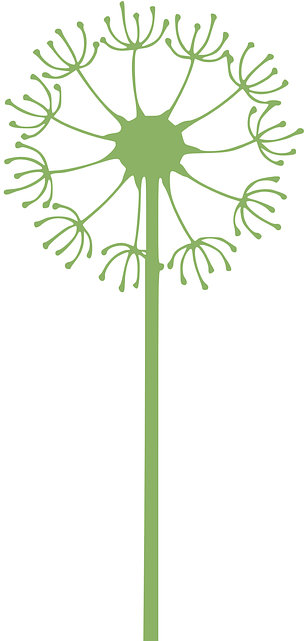 Source - Data - Whicdn - Com - Dandelion Clip Art (320x640), Png Download