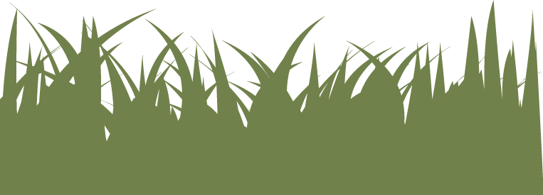 Normal Lawn - Illustration (763x275), Png Download