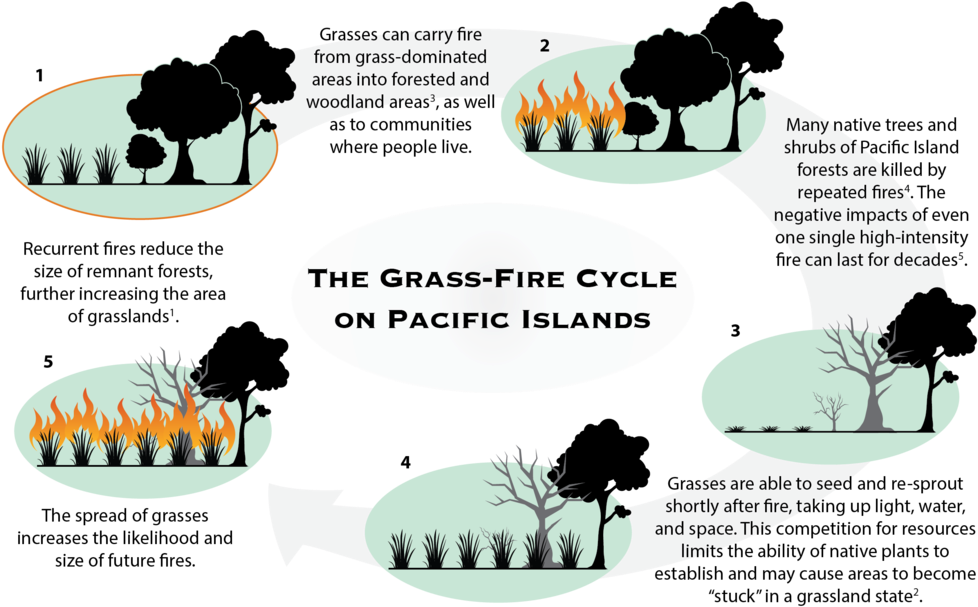 Pfx Factsheet Gfcycle Forweb - Pkcs #12 (1000x617), Png Download