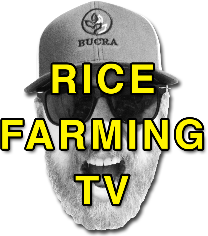 Future Of Agriculture - Graphic Design (800x800), Png Download