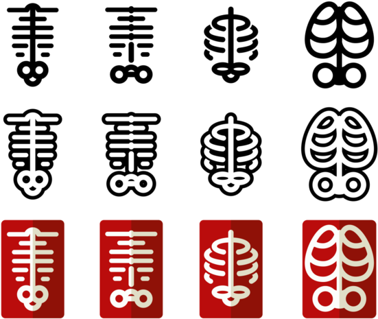 Ribcage Vector Icons - Human Rib Cage Vector (700x490), Png Download