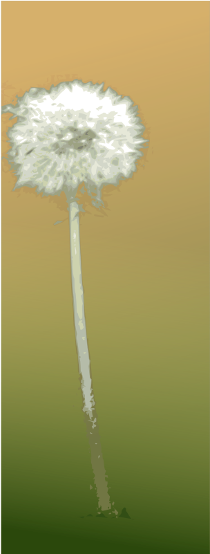 Free Vector Pusteblume - Dandelion (337x800), Png Download