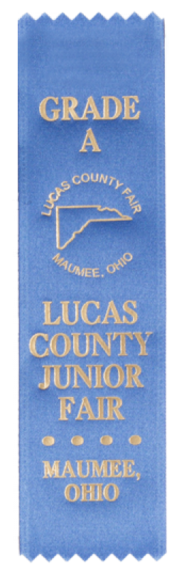 157 1 5 8 X 7 Custom Award Ribbonribbonsrb157 965 - Paper (800x800), Png Download