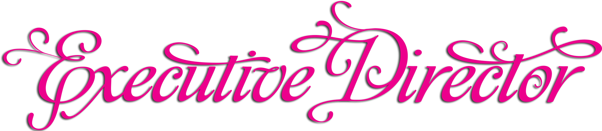 Executive Director Paparazzi Accessories (1950x430), Png Download