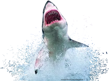 Report Abuse - Shark Leaping From Water (420x298), Png Download