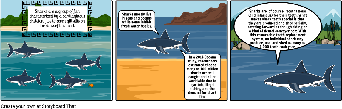 Shark - Cartoon (1164x385), Png Download