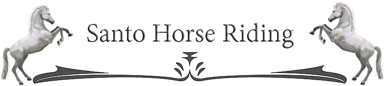 Horizontal Lines Writing Official - White Horse Elected Pose Round Ornament (816x248), Png Download