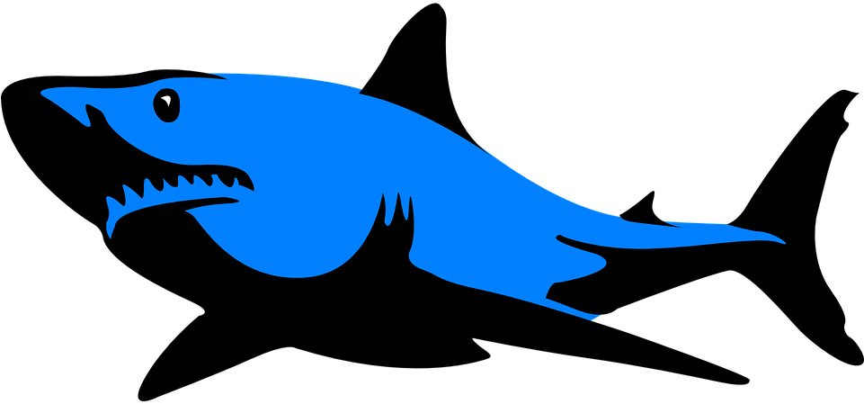Collection Of Free Fripperer Clipart Shark Fin - Black And White Shark Clipart (960x480), Png Download