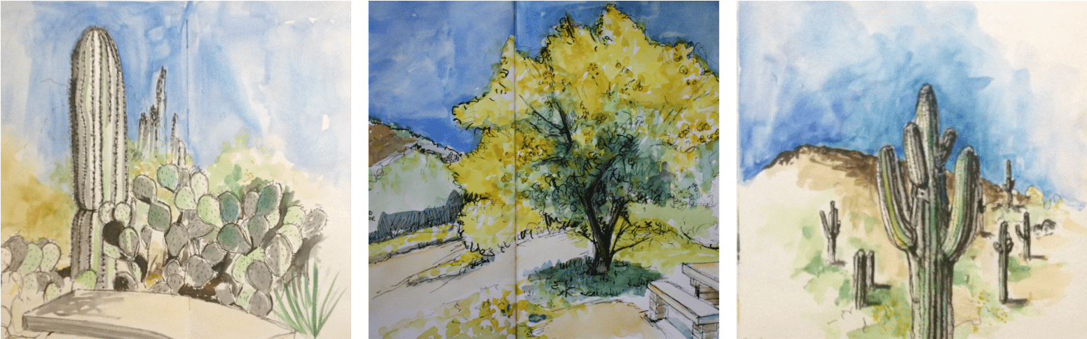 18 Jul 834ff-watercolorcollage - American Aspen (1600x533), Png Download