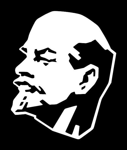 Head, Vladimir, People, Man, Profile, Silhouette, Faces - Socialism In Europe And The Russian Revolution (541x640), Png Download