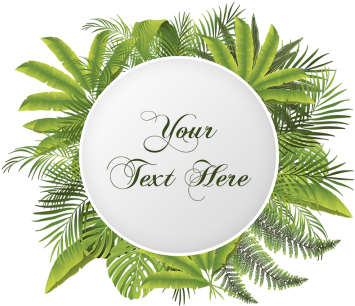 Tropical Floral With Your Text Vector Png, Tropical, - 2012 Greeting Cards (360x360), Png Download