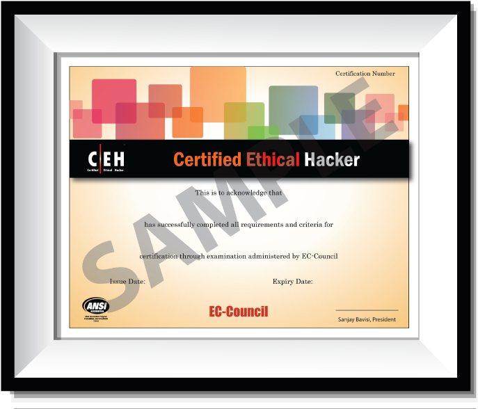 Certified Ethical Hacker (729x603), Png Download