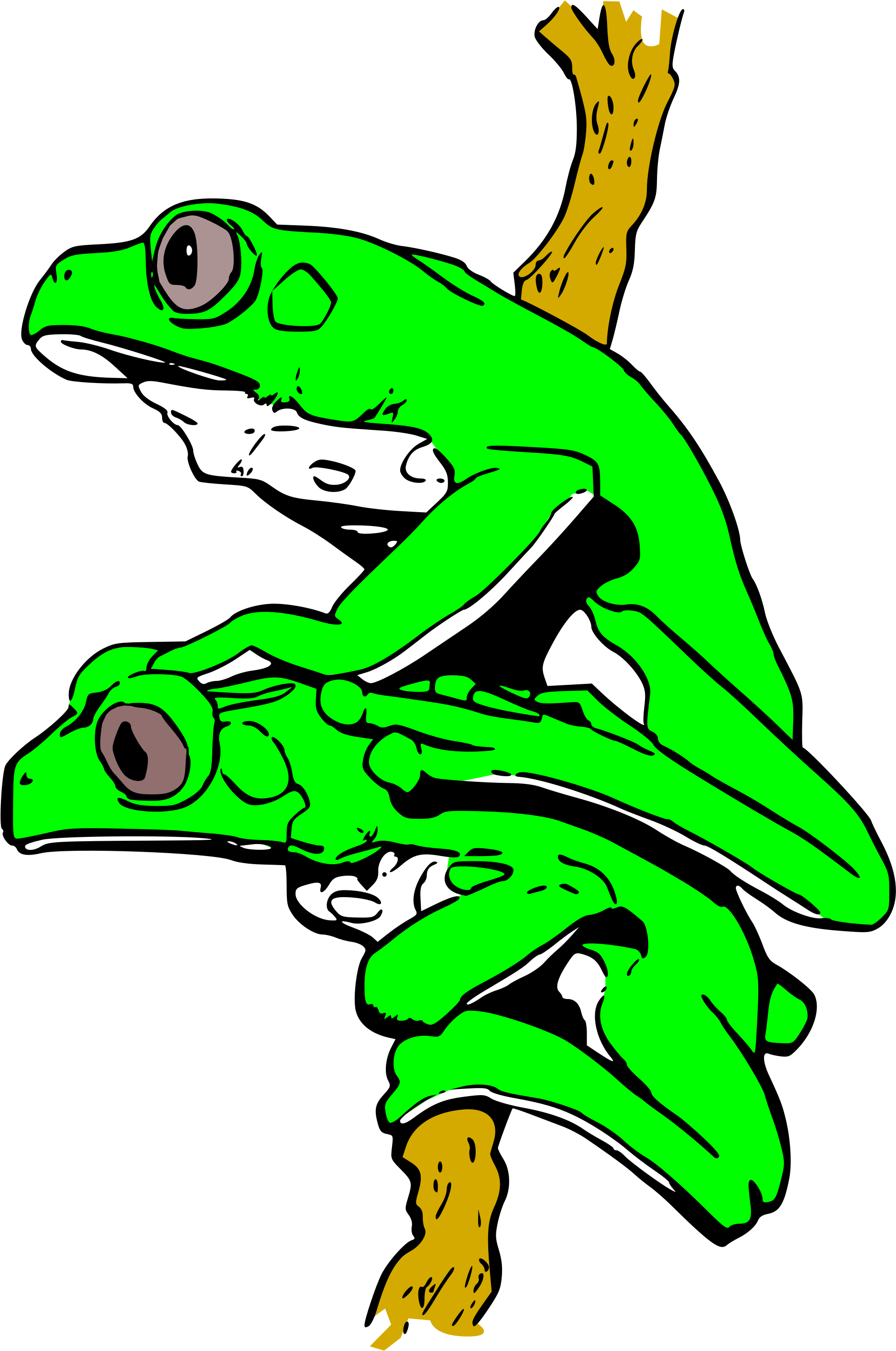 Open - Frogs (2000x2898), Png Download