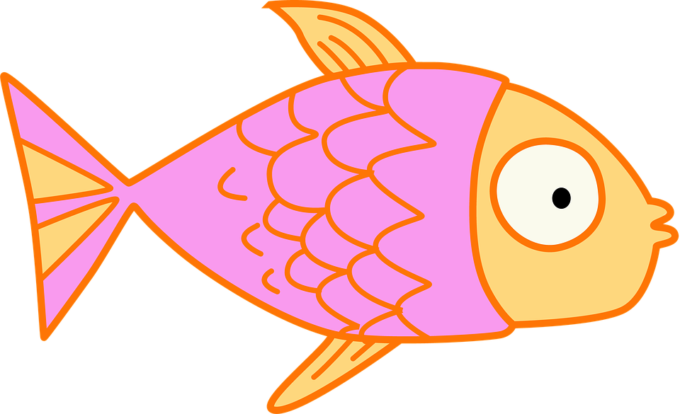 Fish Kids (960x585), Png Download