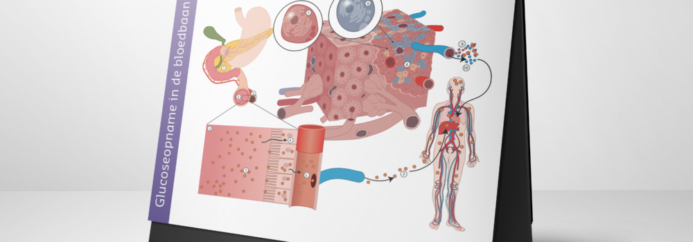 17 Aug 2016 - Construction Paper (1000x350), Png Download