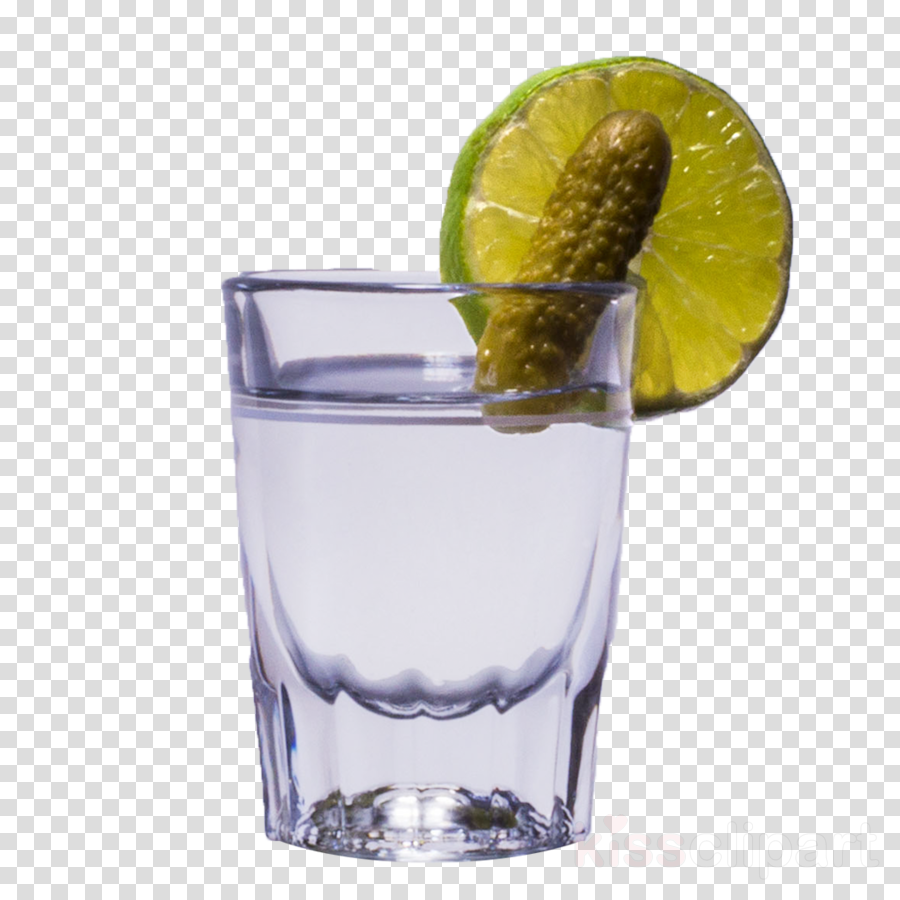 Download Vodka Pickle Shots Clipart Cocktail Garnish - Vodka Tonic (900x900), Png Download