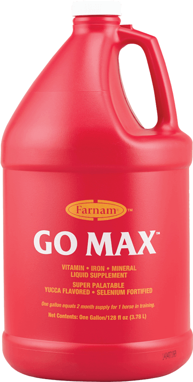 Gallon - Go Max (1200x1017), Png Download