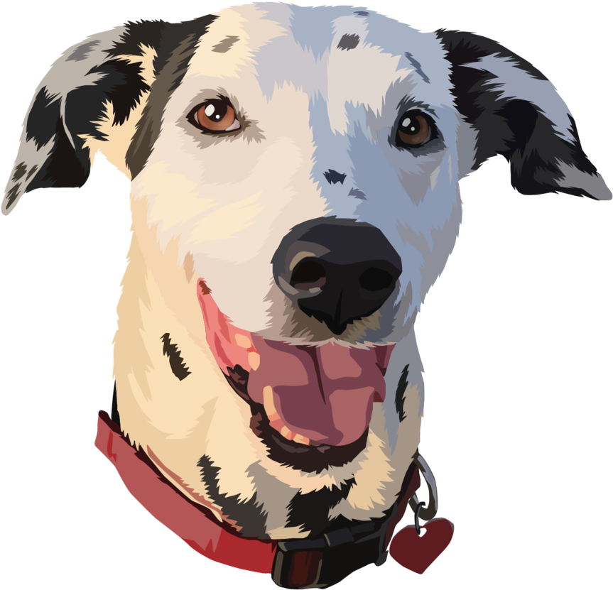 Hairy January - Dalmatian (960x1024), Png Download