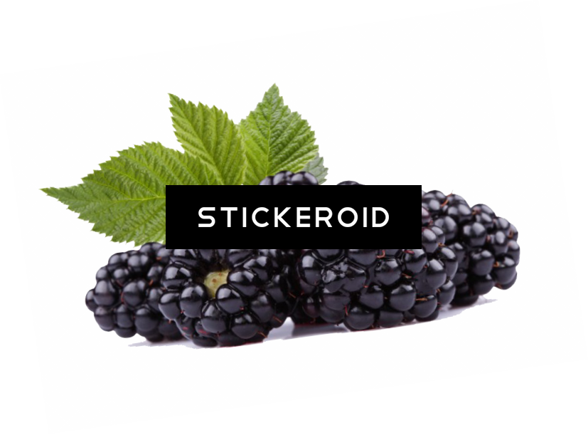Black Raspberries Hd - Russells Black Raspberry Pecan Ice Cream (827x611), Png Download